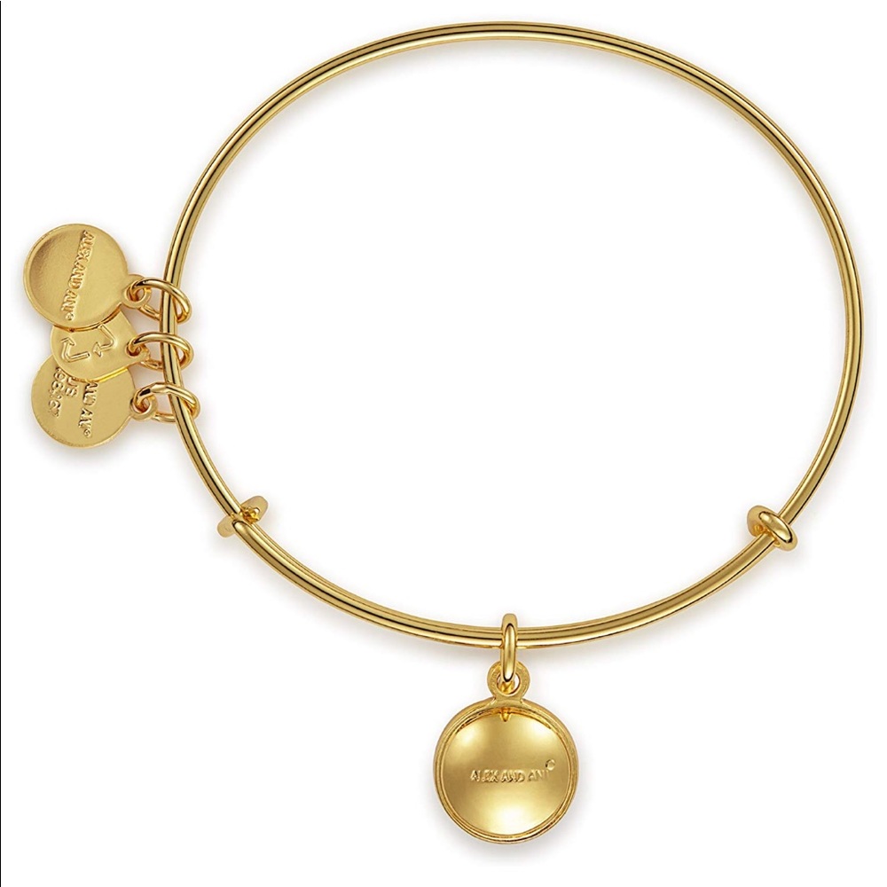🆕ALEX & ANI | July Birthstone Bracelet - Picture 2 of 3